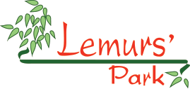 Lemurspark